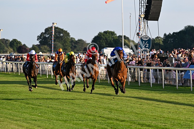 240726-Race 5-Diamond Rain-5458 - Race 5 19.50pm British EBF Lyric Fillies' Stakes