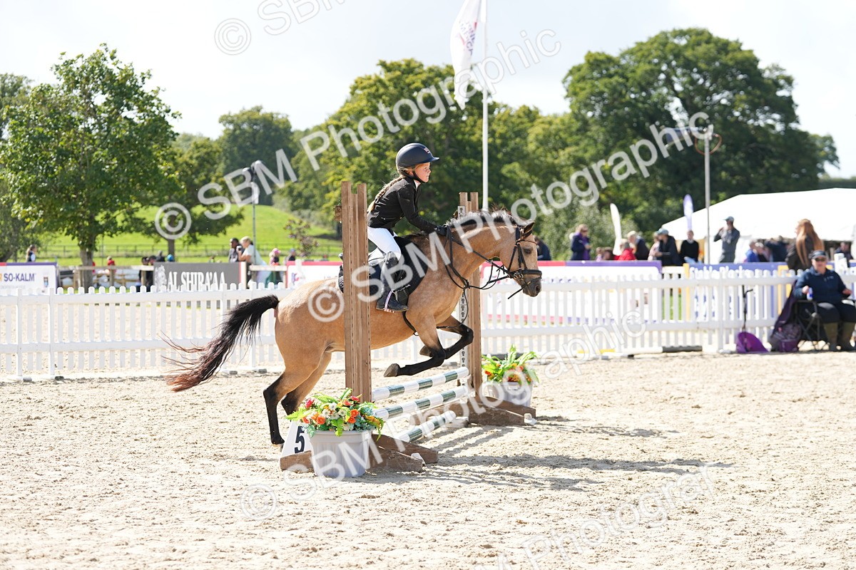 SBM_18211 - J58 - Clear Round 50cm