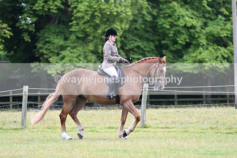 WJ7_8998 - Class 8 Ridden Veterans