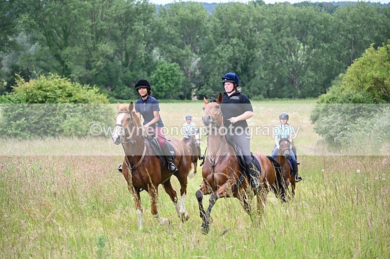 WJ6_8423 - Camera 1 Gallops