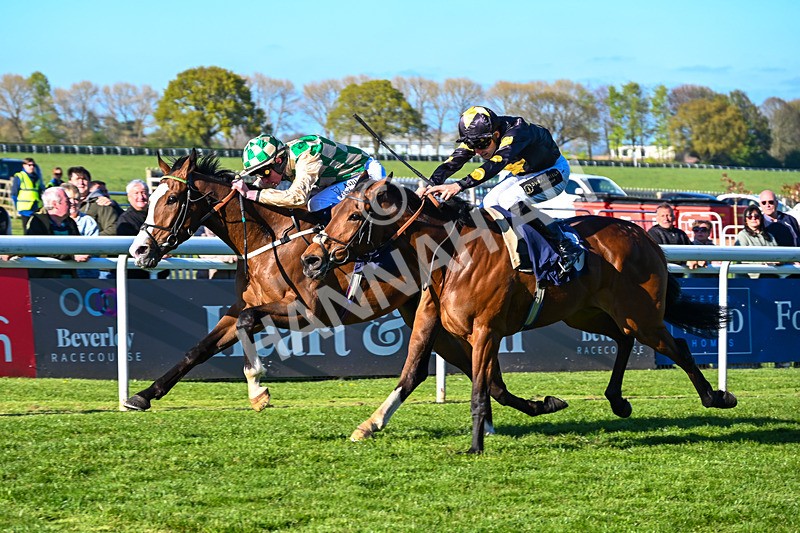 230426-Race 8-Barbury Boy-5966 - Race 8
