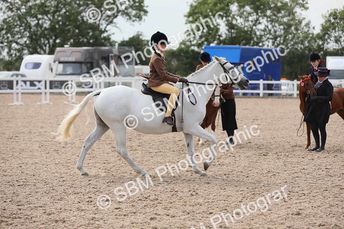 SBM_17015 - Class 314 Family Horse/Pony