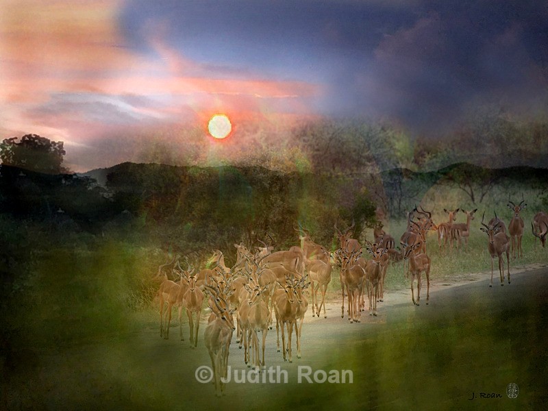African Evening - Photo Montages