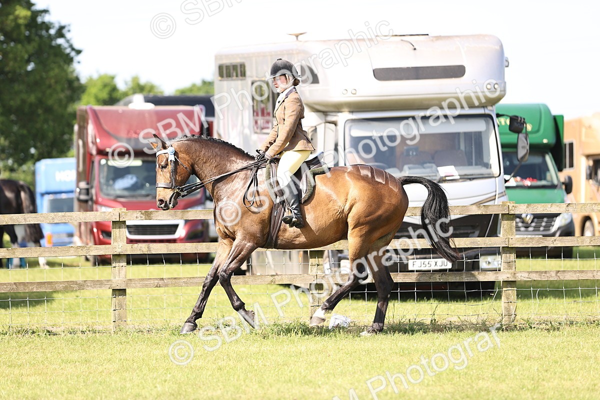 SBM_12904 - Class 75-76 LIHS BSHA Rising Star Hack Riding Horse
