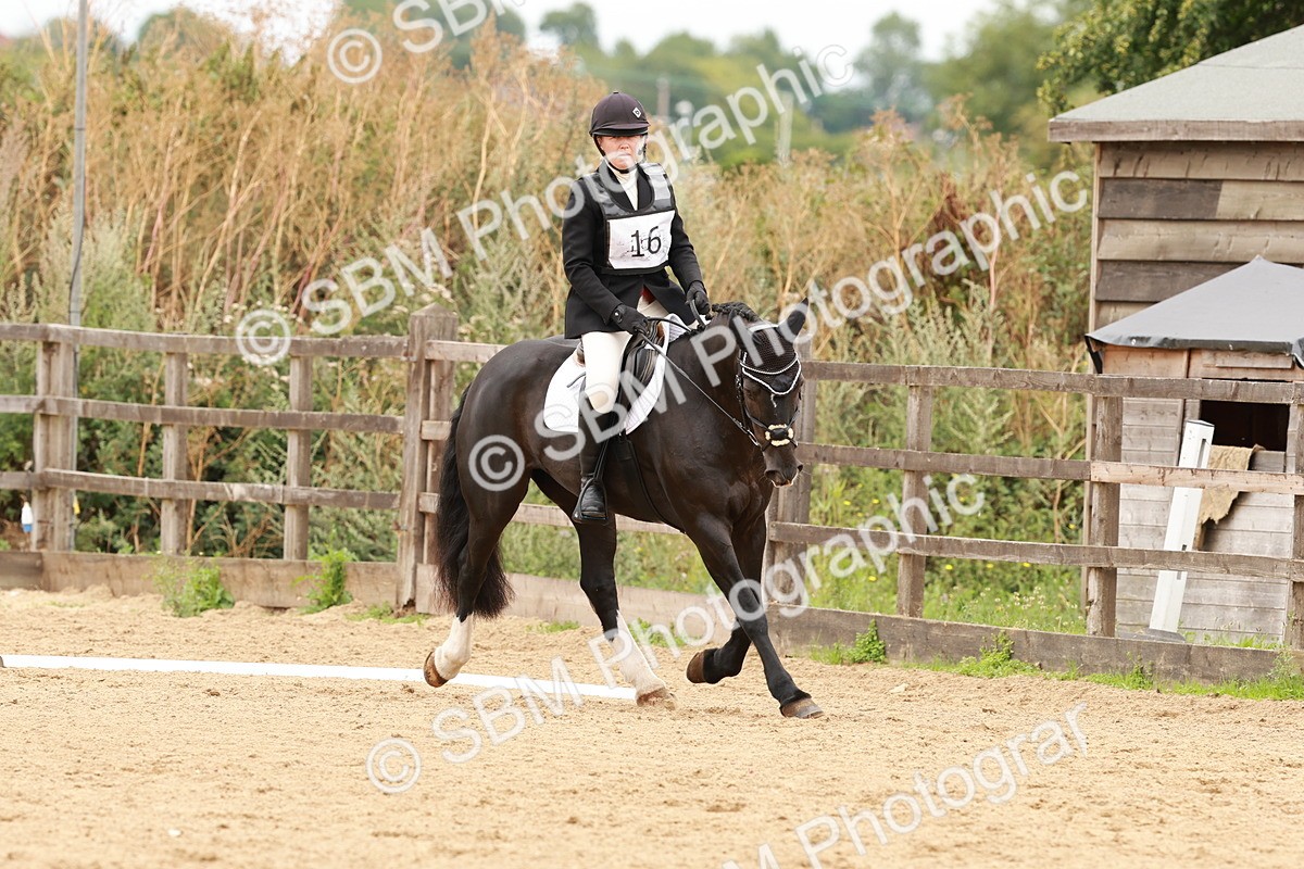 SBM_001595 - Novice 1