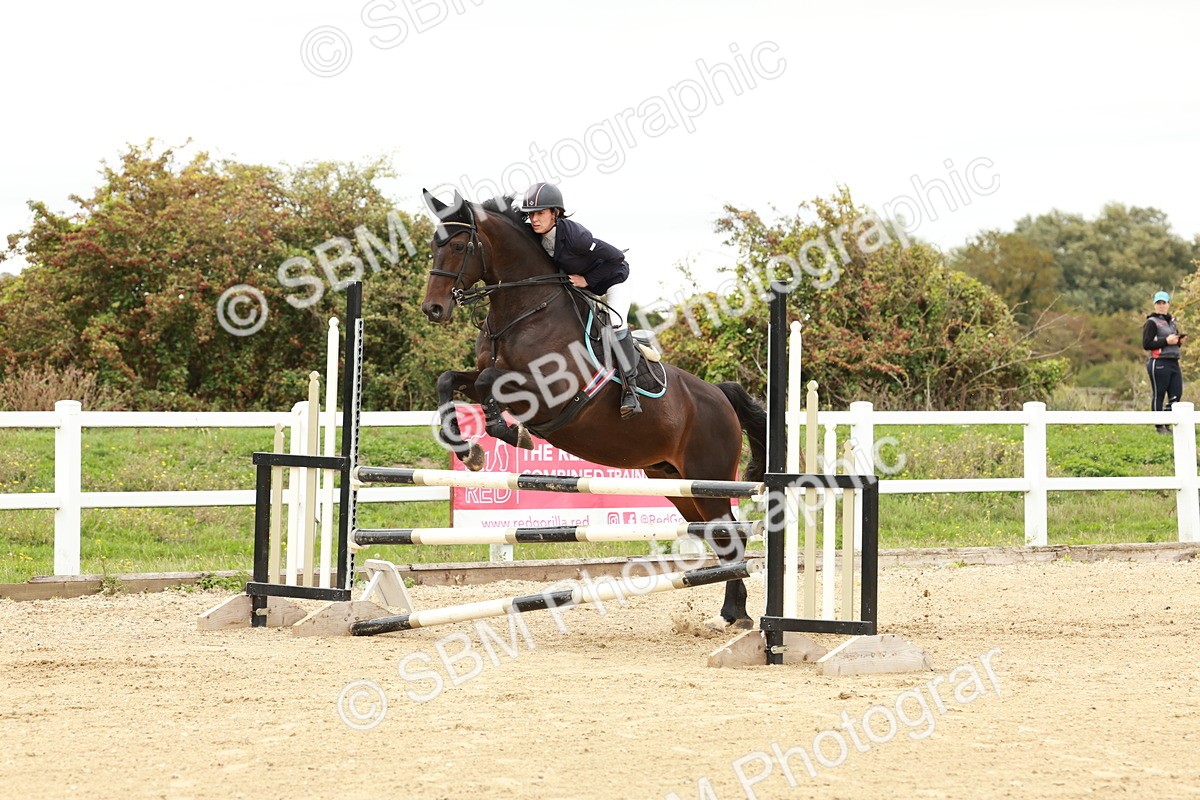 1I0A6952 - Class 2 - Senior British Novice