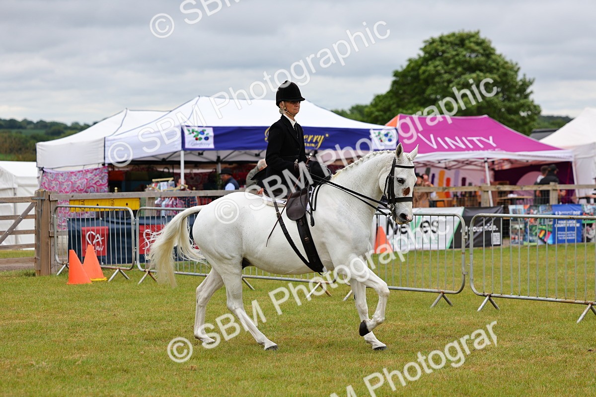 SBM_02871 - Class 9-11 Side Saddle including LIHS Rising Star Ladies Show Horse