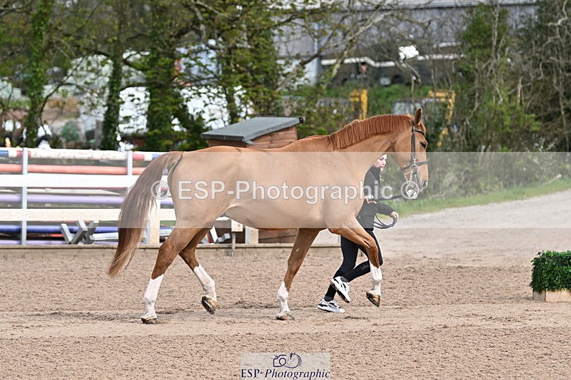 240417A-113157-00023 - 11am to 12pm