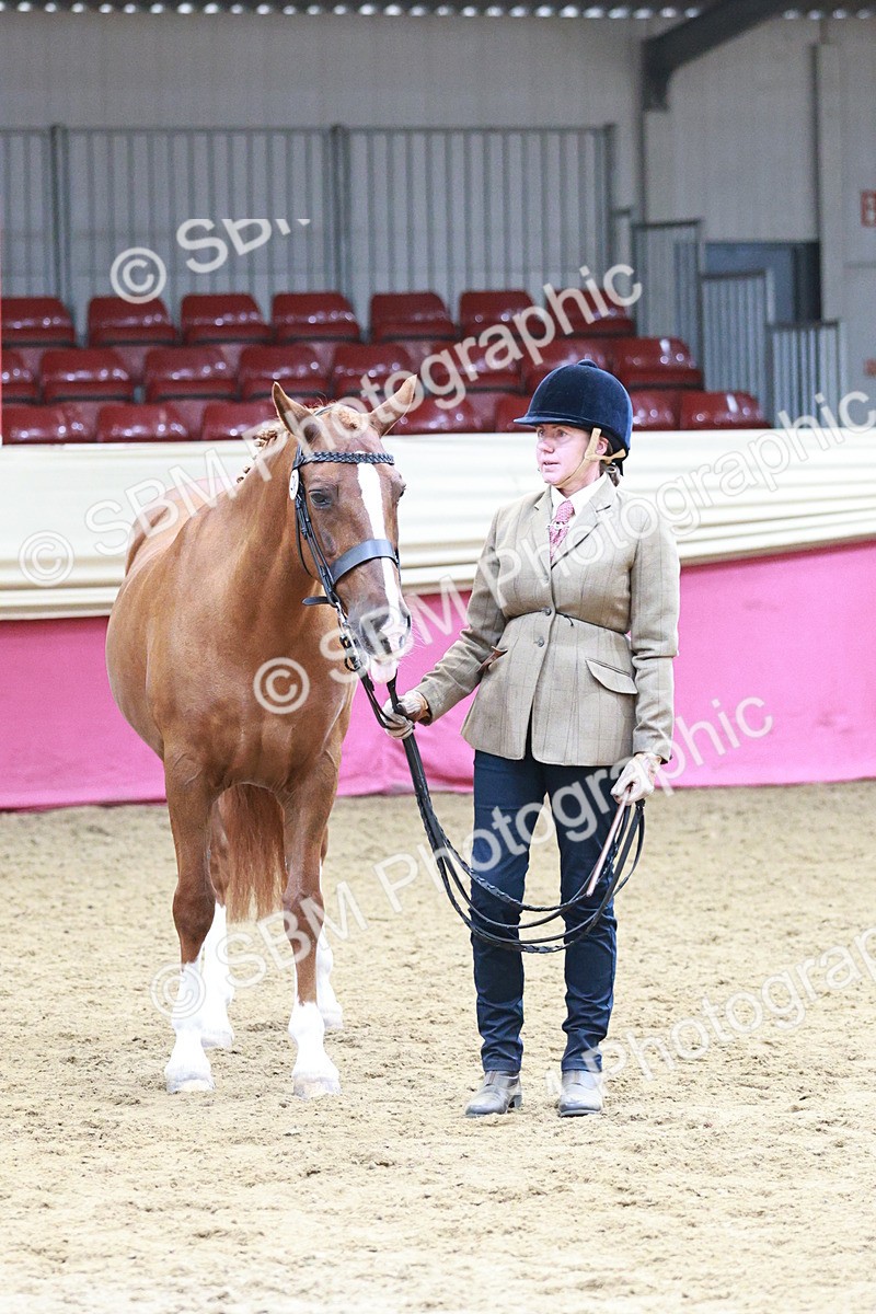SBM_04839 - Class 7R - Regional IH Diamond