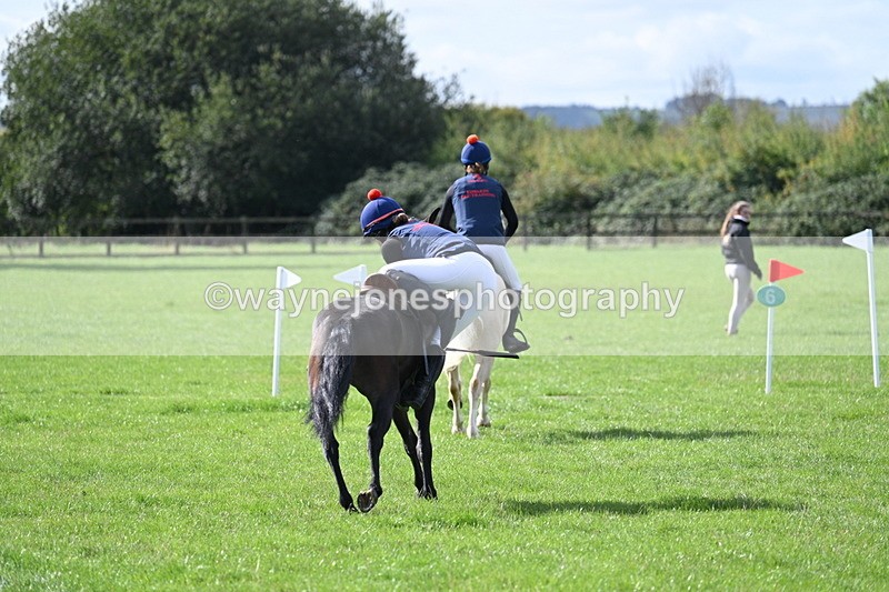 WJ7_8517 - 60cm Pairs