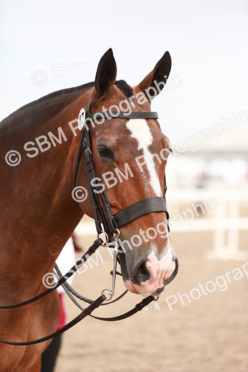 SBM_16712 - Class 214 Ridden Cob