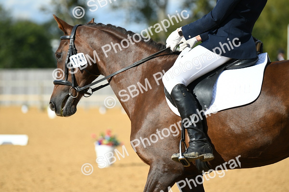 SBM_27062 - D16 - Small Tour Championship - Novice 28