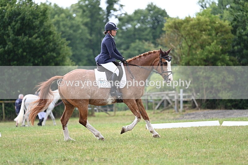 WJ7_5878 - Time 11:52 to 12:10