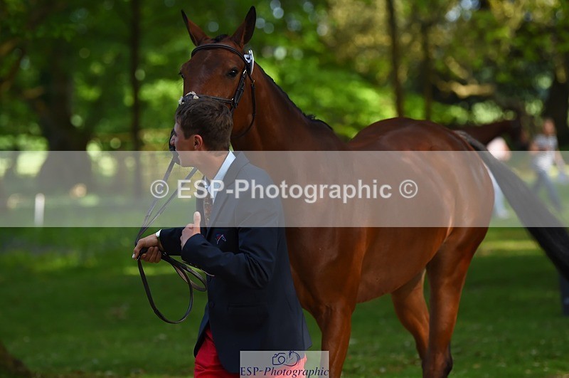 230524-170936-01313 - 173-HARIBO_LOUVO-Gaspard_Maksud-WEDTrotUp+DR