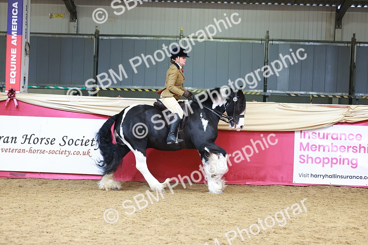 SBM_06204 - Class 12R - Ridden Pre-Vet