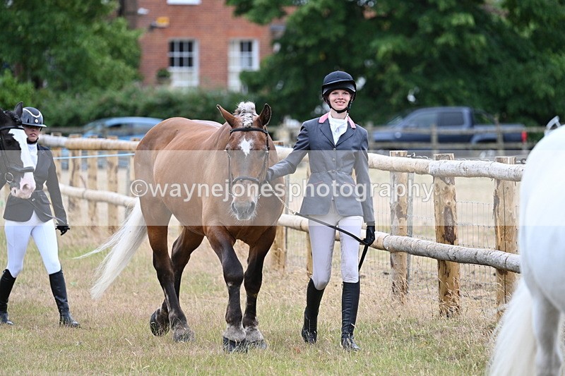 WJ7_9077 - Class 4a Prettiest Mare 14.2hh and over