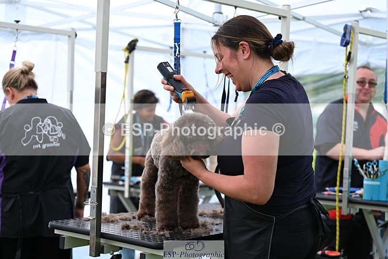 240525-114701-12617 - Candid and Saturday Hobby Horse