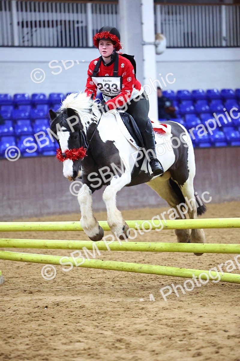 SBM_001911 - Class 4 - Festive Fences - 70cm