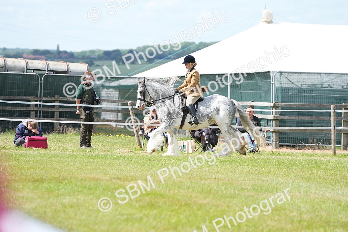 SBM_17262 - Class 107-108 - LIHS BSPS Performance Coloured Horse Pony