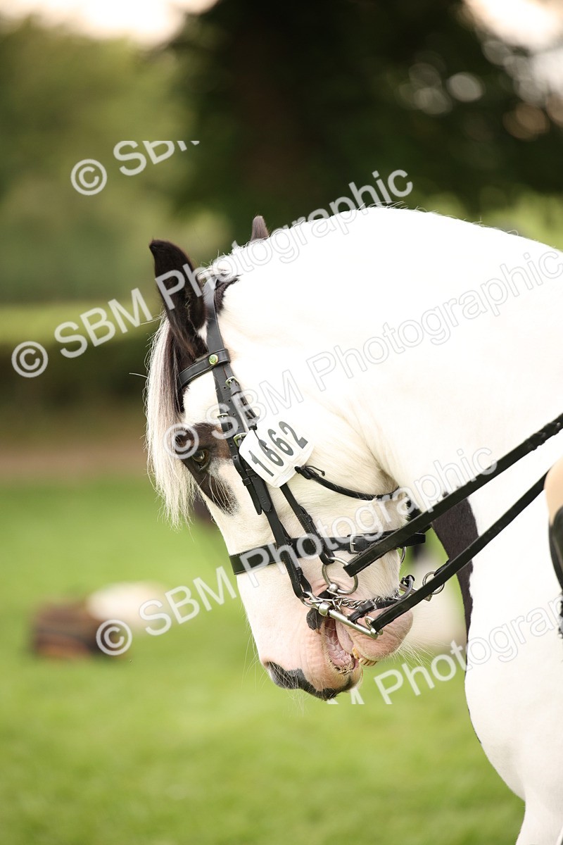 SBM_73536 - S68 - Traditional Cob Ridden