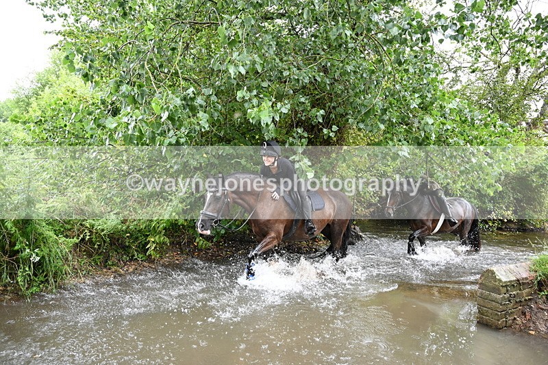 WJ7_8707 - Group 3