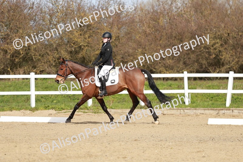 20260314-2795 - DR3 - Prelim 1