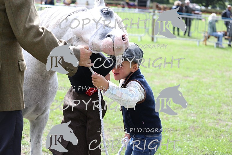 APP_2918 - Class 10a/b M&M in hand