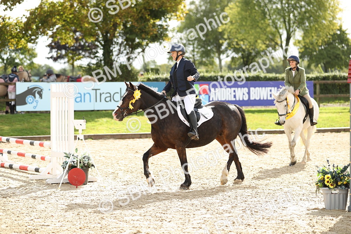 SBM_02061 - J34 - Veteran Rider 50cm