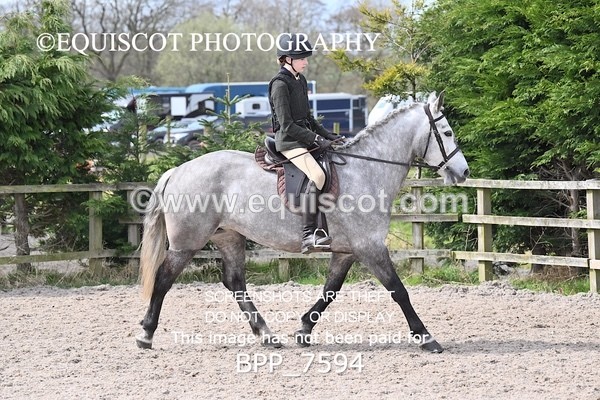 BPP_7594 - RING 1  (RIDDEN HORSES / IN HAND / VETERAN ETC)