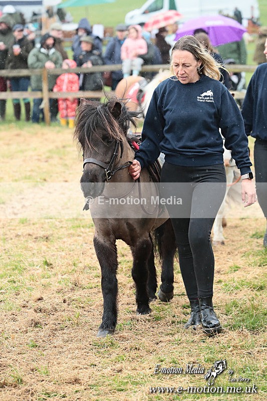 SHETPR 210425 33 - Shetland Ponies Paxford Races 21/04/25
