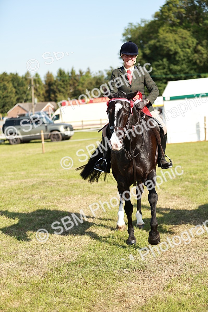 SBM_19328 - Class 115-116 - LIHS BSHA Rising Star Working Hunter & Show Horse