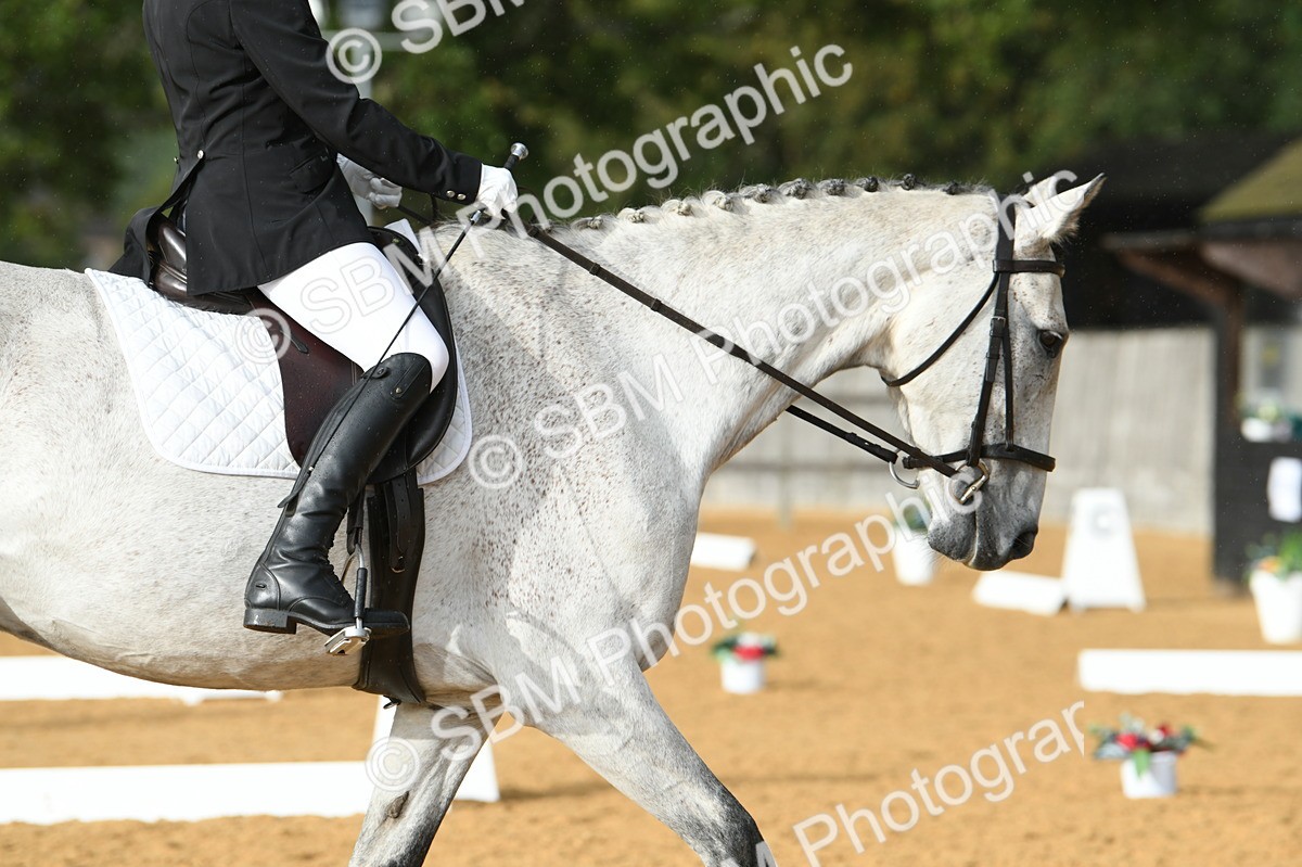 SBM_11164 - D28 Elementary Taster Elementary 42