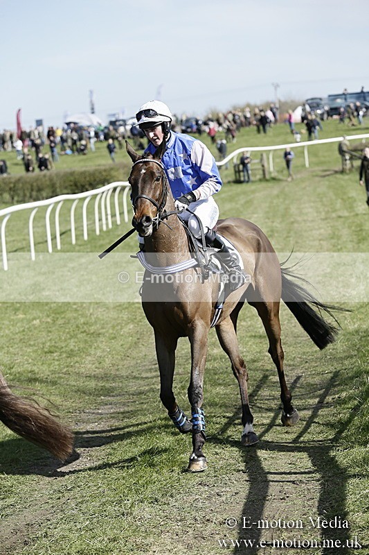 PtP 250317 83 - V.W.H. Hunt Point-to-Point Siddington 25/03/17
