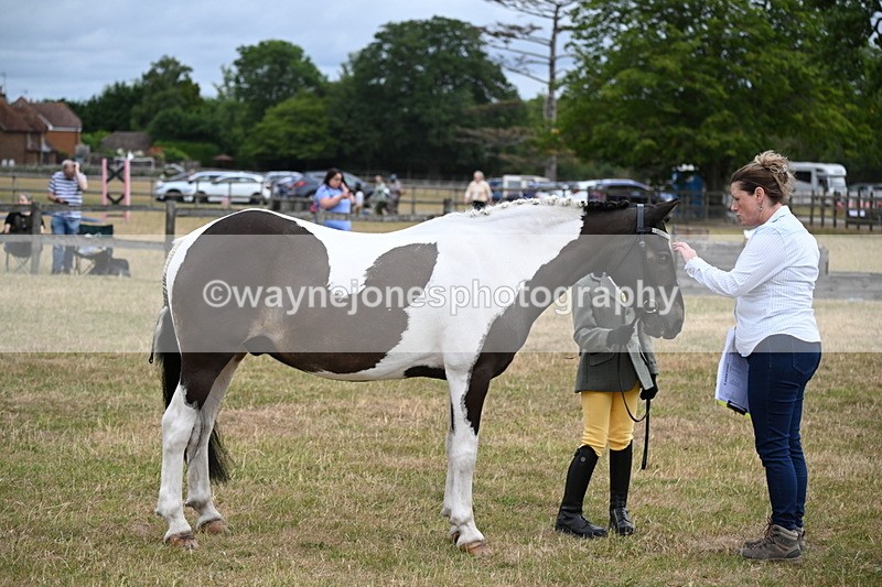 WJ6_4312 - Class 10 Coloured In-hand