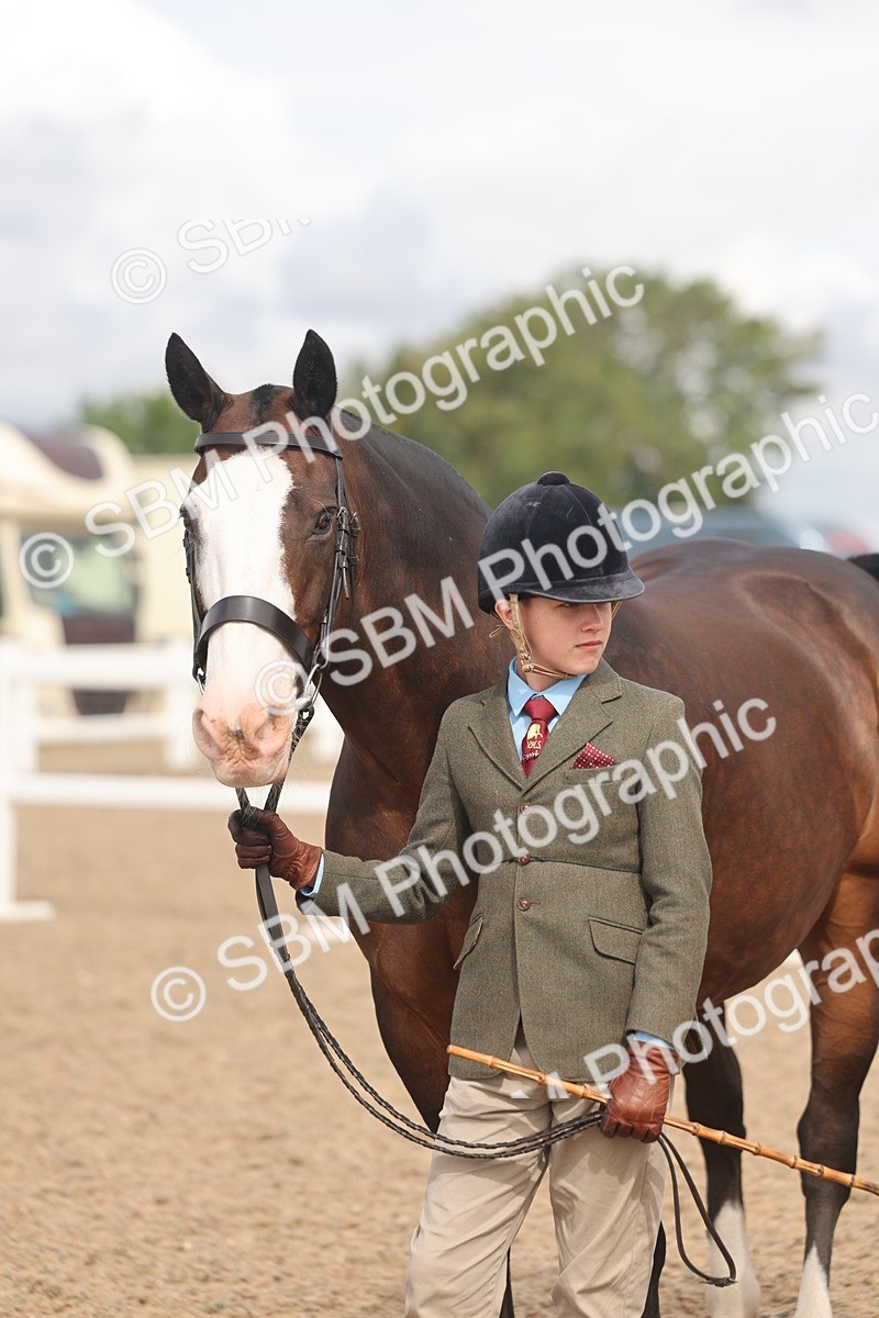 SBM_04418 - Class 18 - Handsomest Gelding (IH or Ridden)