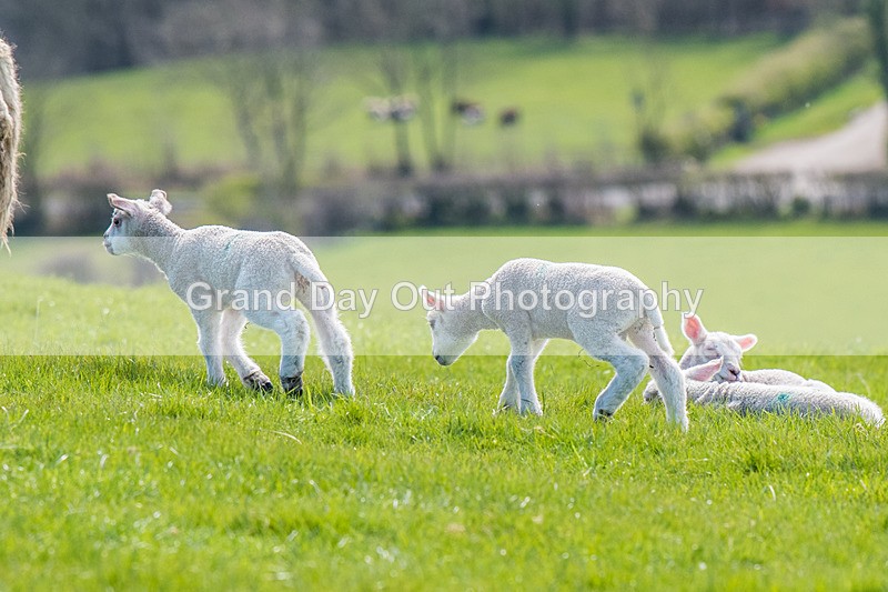 Isel Cross-620 - Isle Cross Race Saturday 8th April 2023