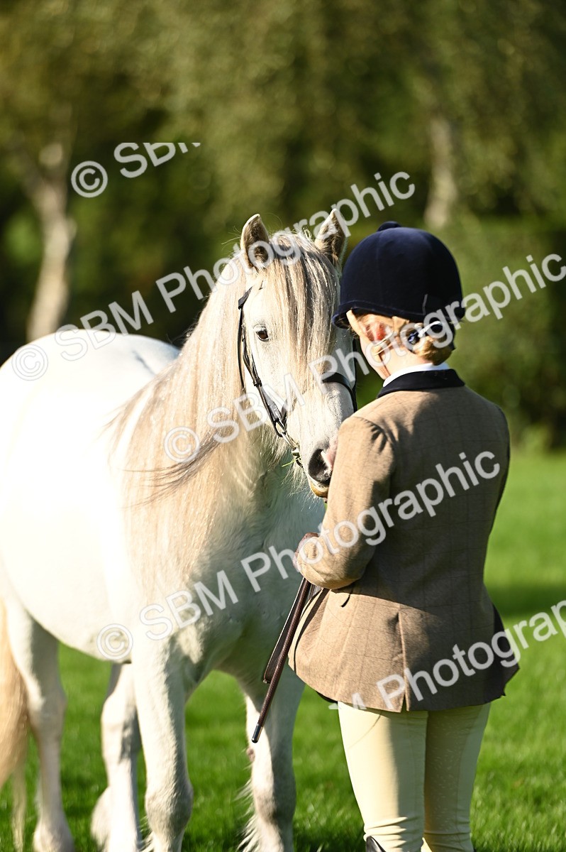SBM_14769 - S1 - TSR in Hand Horse & Pony Showing