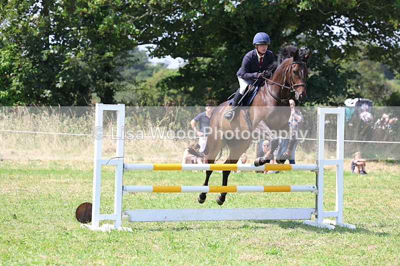 3E7A2955 - Class 7: Senior British Novice/90cm open