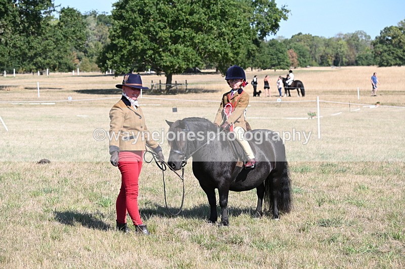 WJ6_7660 - Class 34 Judges Choice