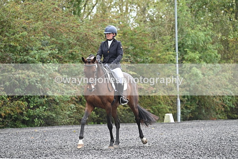 WJ7_3914 - Time 11:04 to 11:38