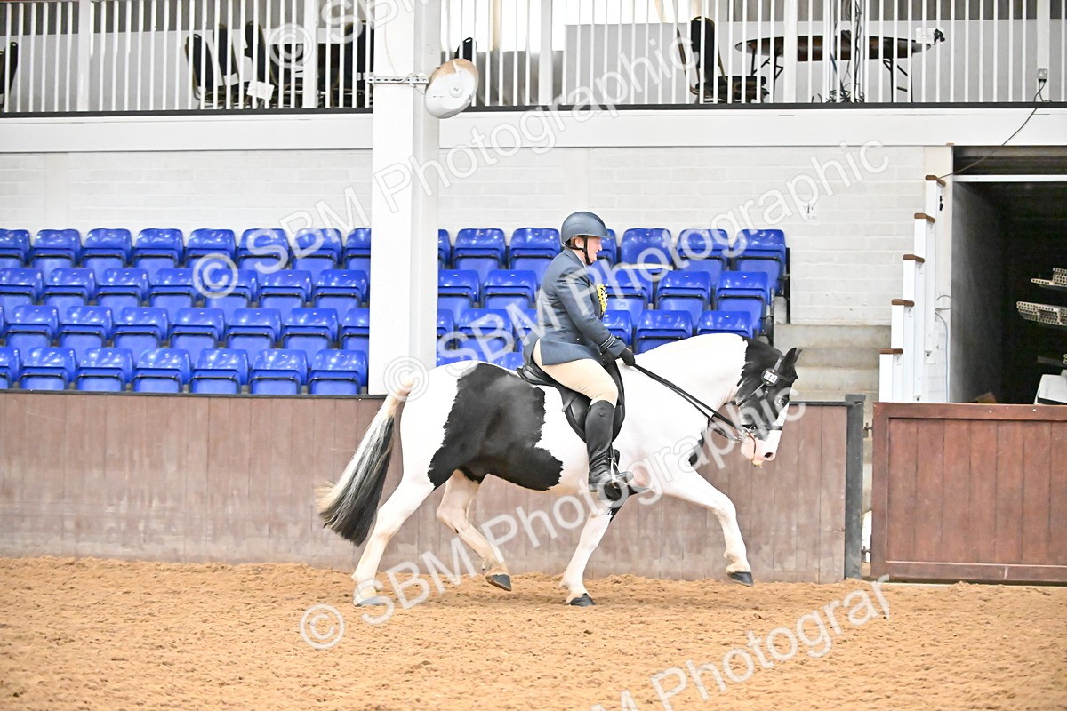 SBM_002683 - Class 28,29 - Ridden Irish & Coloured