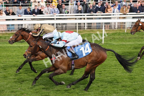 yr13052022r6-30 - Race 6 4.45pm Yorkshire Equine Practice Stakes