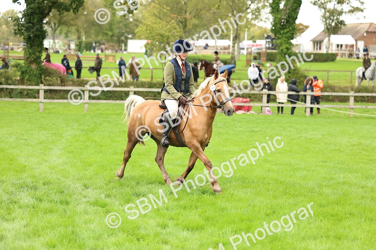 1I0A1440 - S32 - Mountain & Moorland Working Hunter Pony