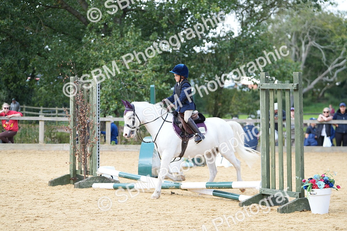 SBM_64624 - J2 - Mini Tour Junior Pony 30cm Championship
