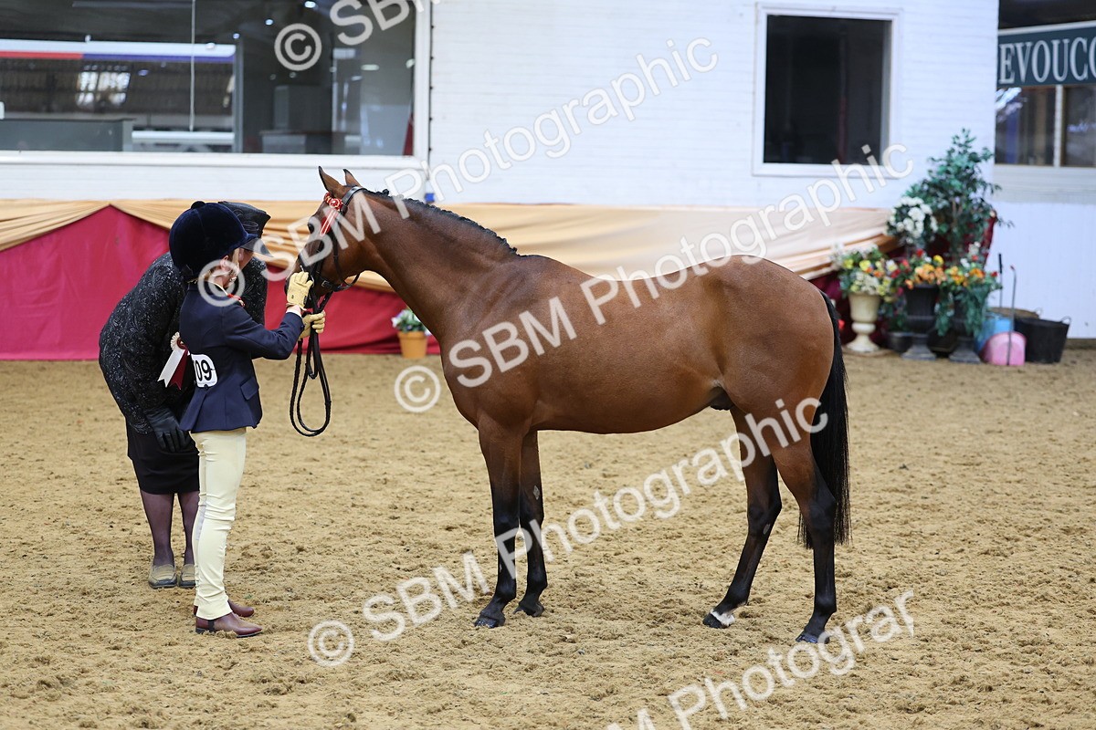 SBM_22707 - Class 903 - Supreme Final - IH Pre Vet