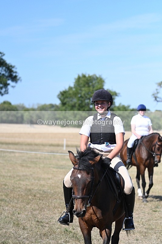 WJ7_1515 - Class 42 Most Handsome Gelding