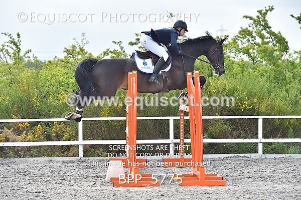 BPP_5775 - SUN CLASS 33 FOX/1.20M