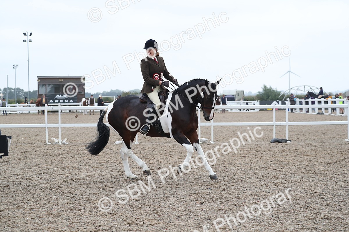 SBM_22074 - Class 603 - 2025 Area Ridden Pre Vet