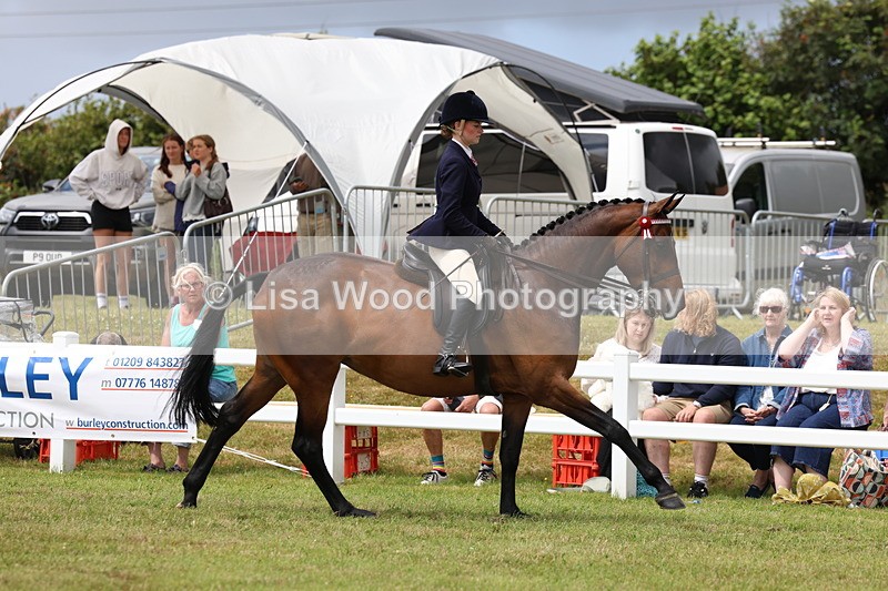 3E7A0880 - Class 8: Open Riding Horse/Hack