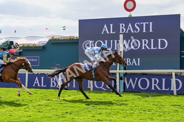 150525-Pride Of Arras-4711 - Race 4 3.45pm Al Basti Equiworld Dubai Dante Stakes